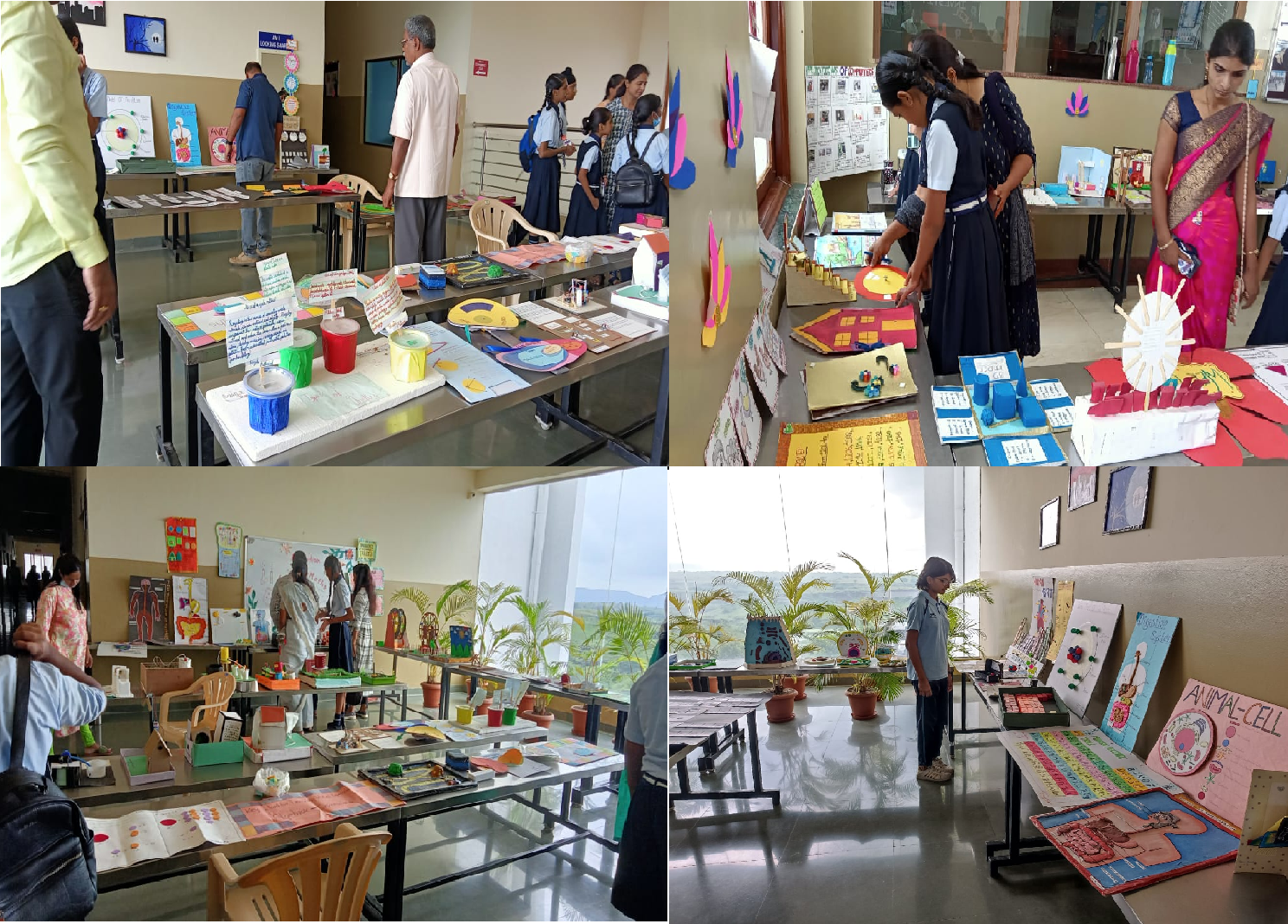 Science and Social Science Exhibition